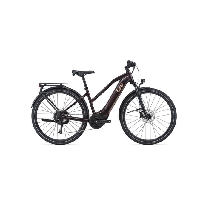 E-Bike Amiti E+ 2 Rosewood