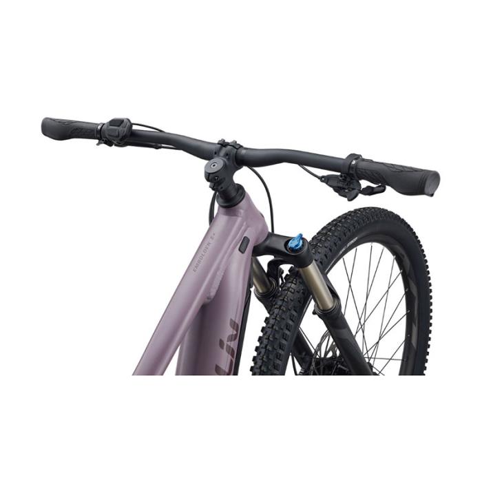 E-Bike Embolden E+ 2 29 ER Purple Ash/Black - taglia M