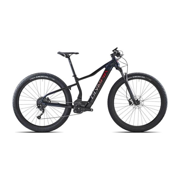 E-Bike MTB Performer 900 Sport - taglia L