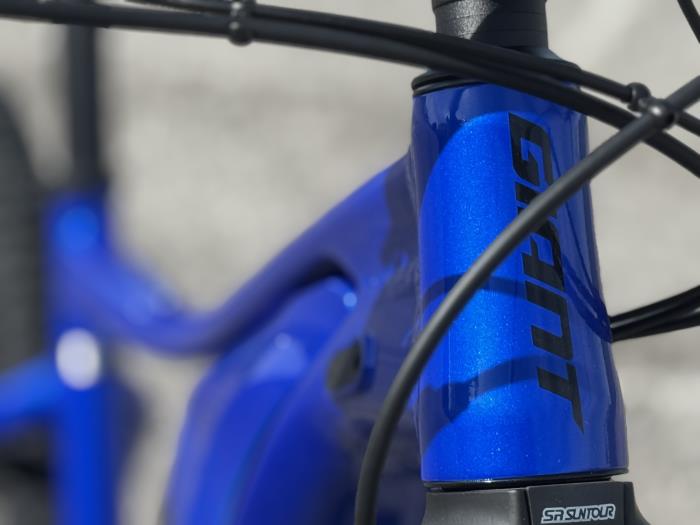 E-Bike Giant Talon E+29 2