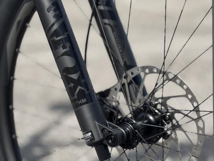 E-Bike Giant Trance E+ 2