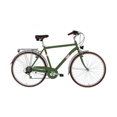 Bicicletta Ciclo Roxy Man 28" Verde canna