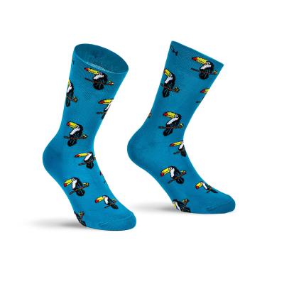 Calza Ciclismo XT 195 X Tech