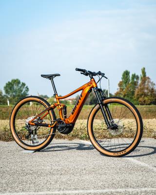 E-Bike Mtb Giant Stance E+ 2