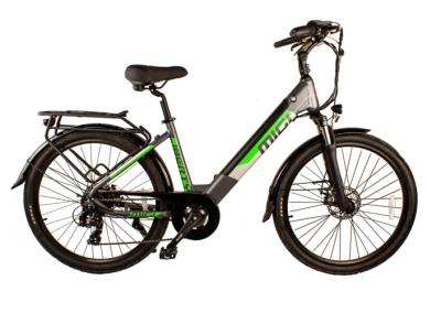 E-Bike Liberty 28 Grigio/Verde