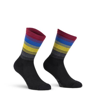 Calze ciclismo Xtech XT180 Lana Merino