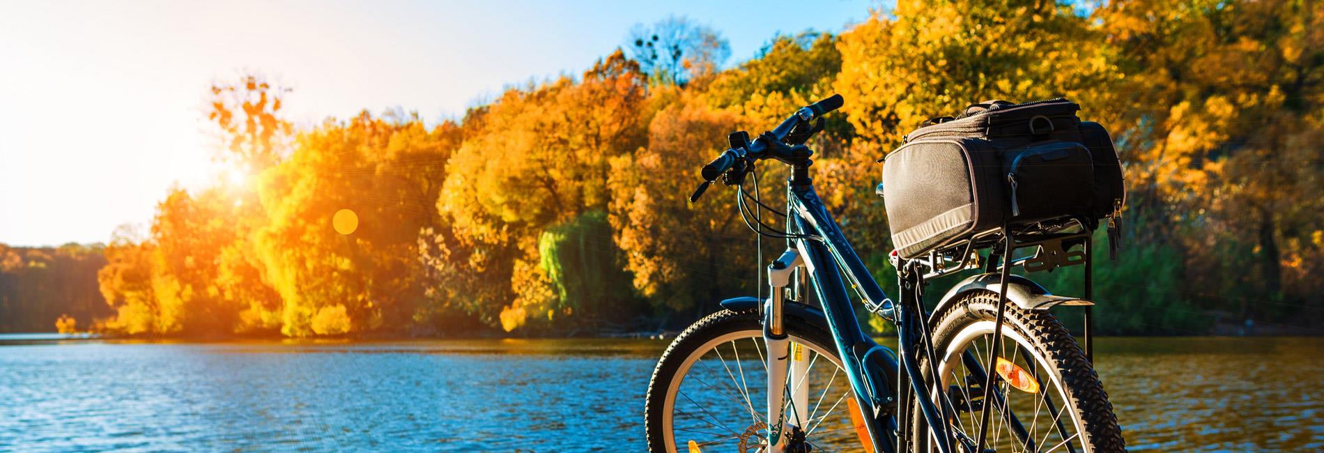 banner-borse-bici-000.jpg