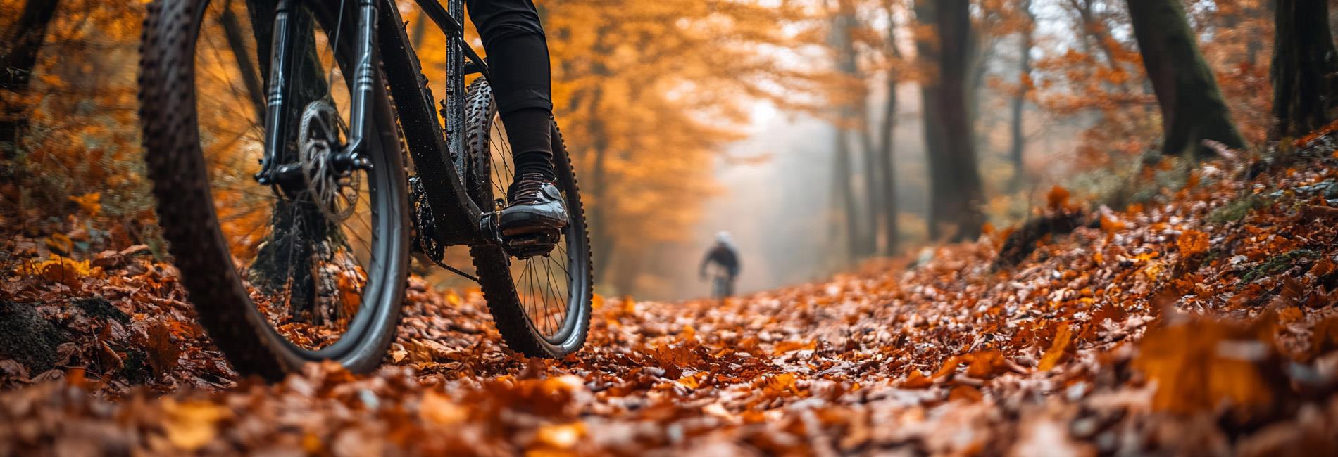 banner-copertoni-bici-001.jpg